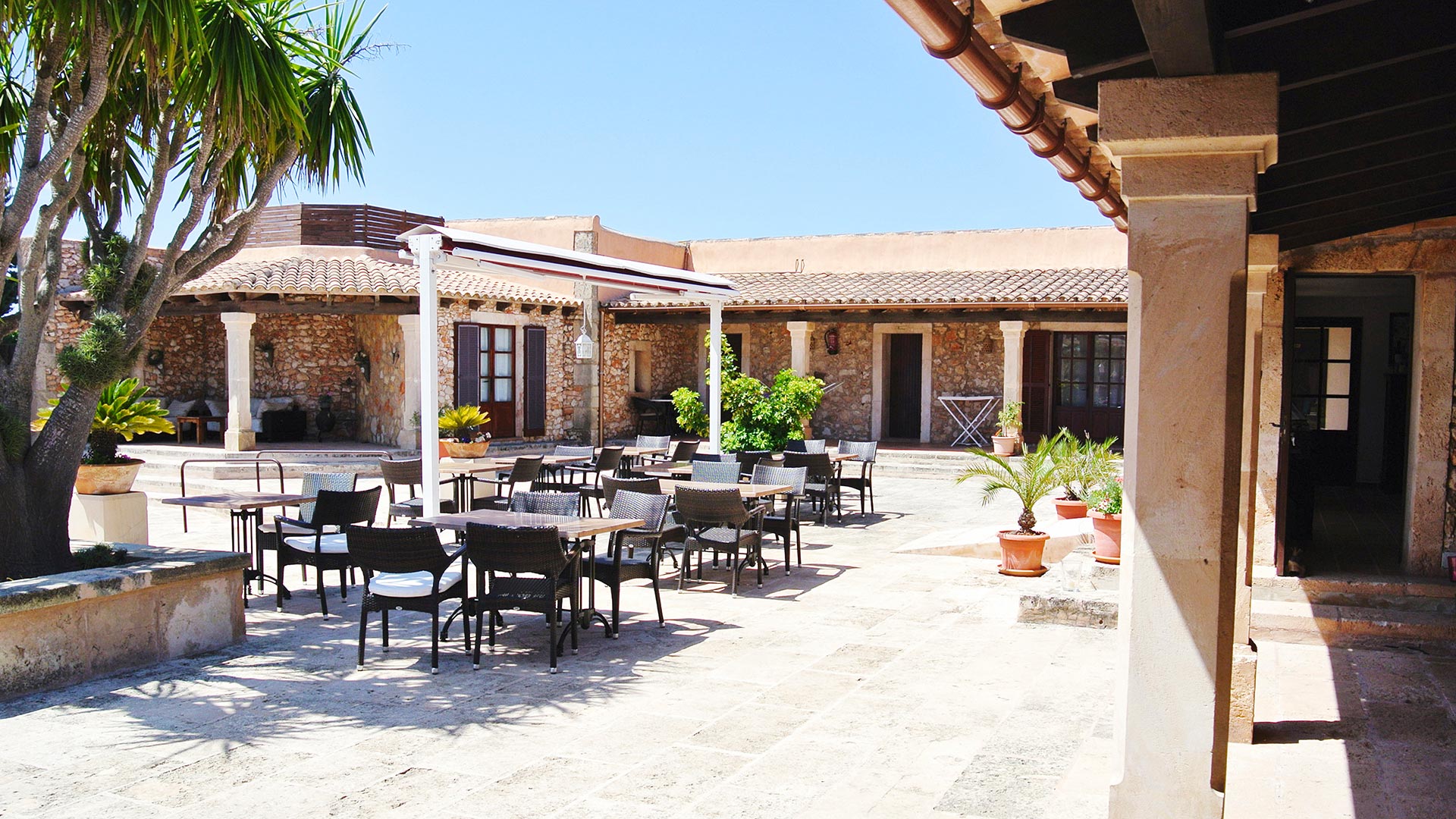 Patio y terraza exterior