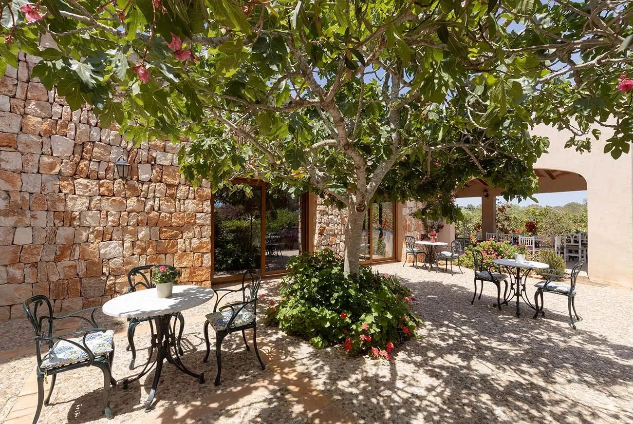 Patio ajardinado de Son Marimón