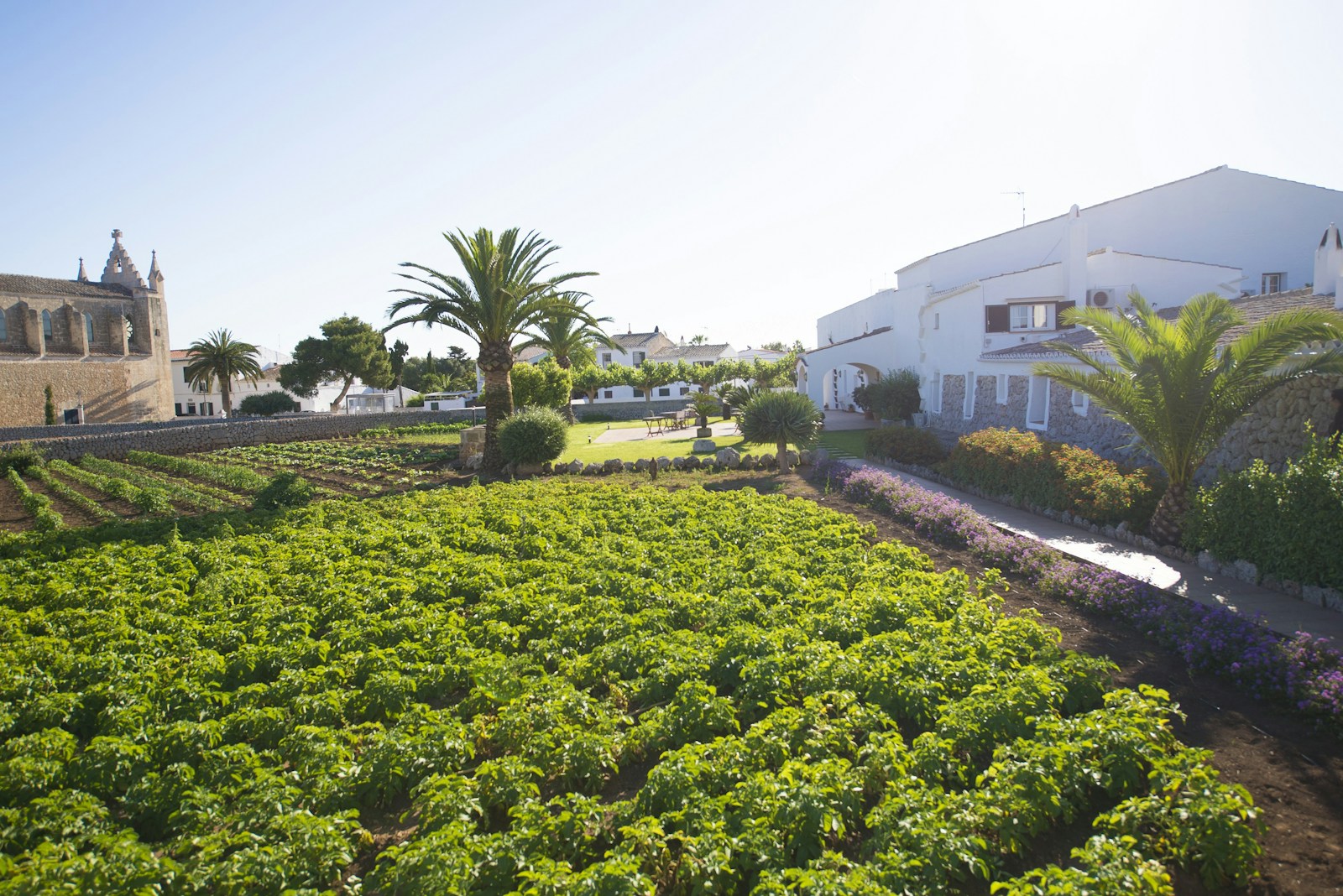 Vista de la casa y campos