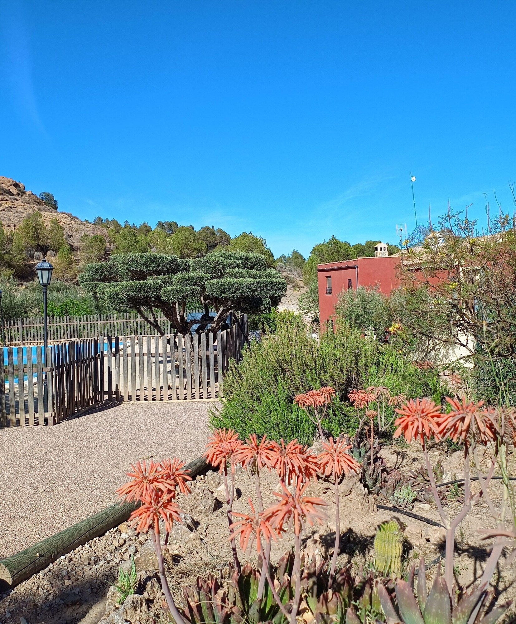 Jardín de Casa Rural La Escuela