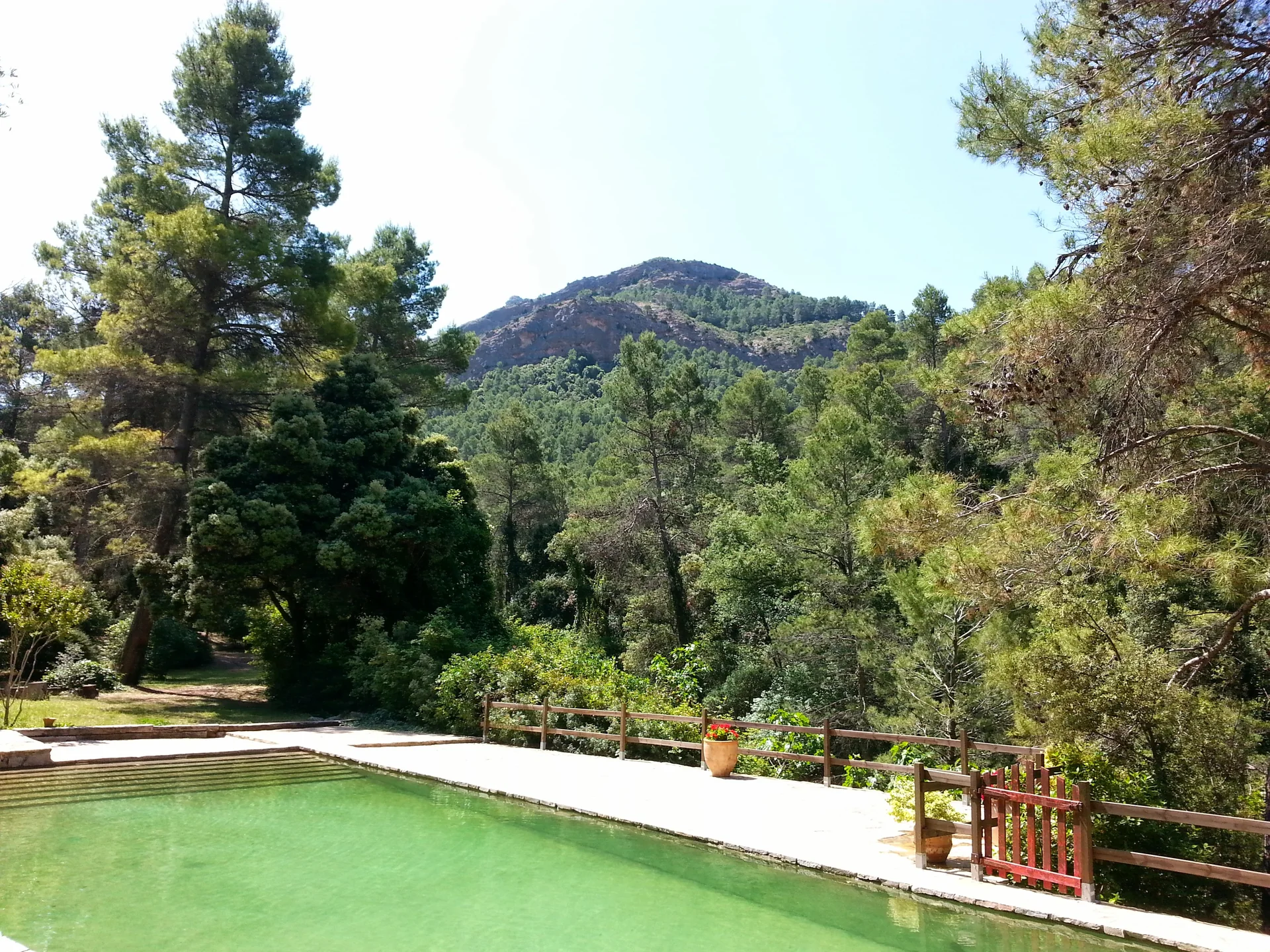Alberca natural del alojamiento, rodeada de pinos